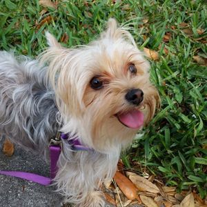 Meet your Posher, Debbie